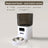 Automatic Cat Feeder with WiFi App Control, Timed Feeding and Optional Camera