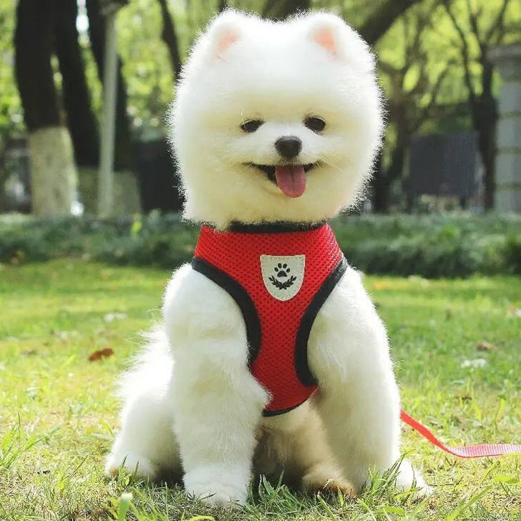 No-choke vest harness and lead set, 4 sizes available