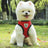 No-choke vest harness and lead set, 4 sizes available