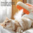 Handle Steam Mist Grooming Comb for Dogs and Cats, No Bath Needed