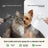Steam Spray Massage Brush with No-Rinse Essence for Pets