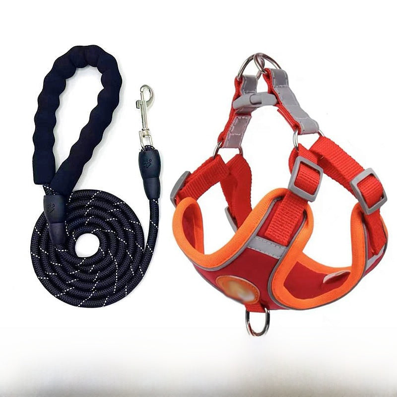 Small dog vest harness, main product photo from Pet Royale UK