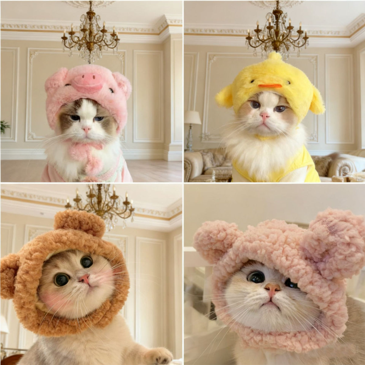 Cute animal headgear hat for cats and small dogs in Lion, front view