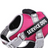 Reflective breathable mesh dog harness in 13 colour options