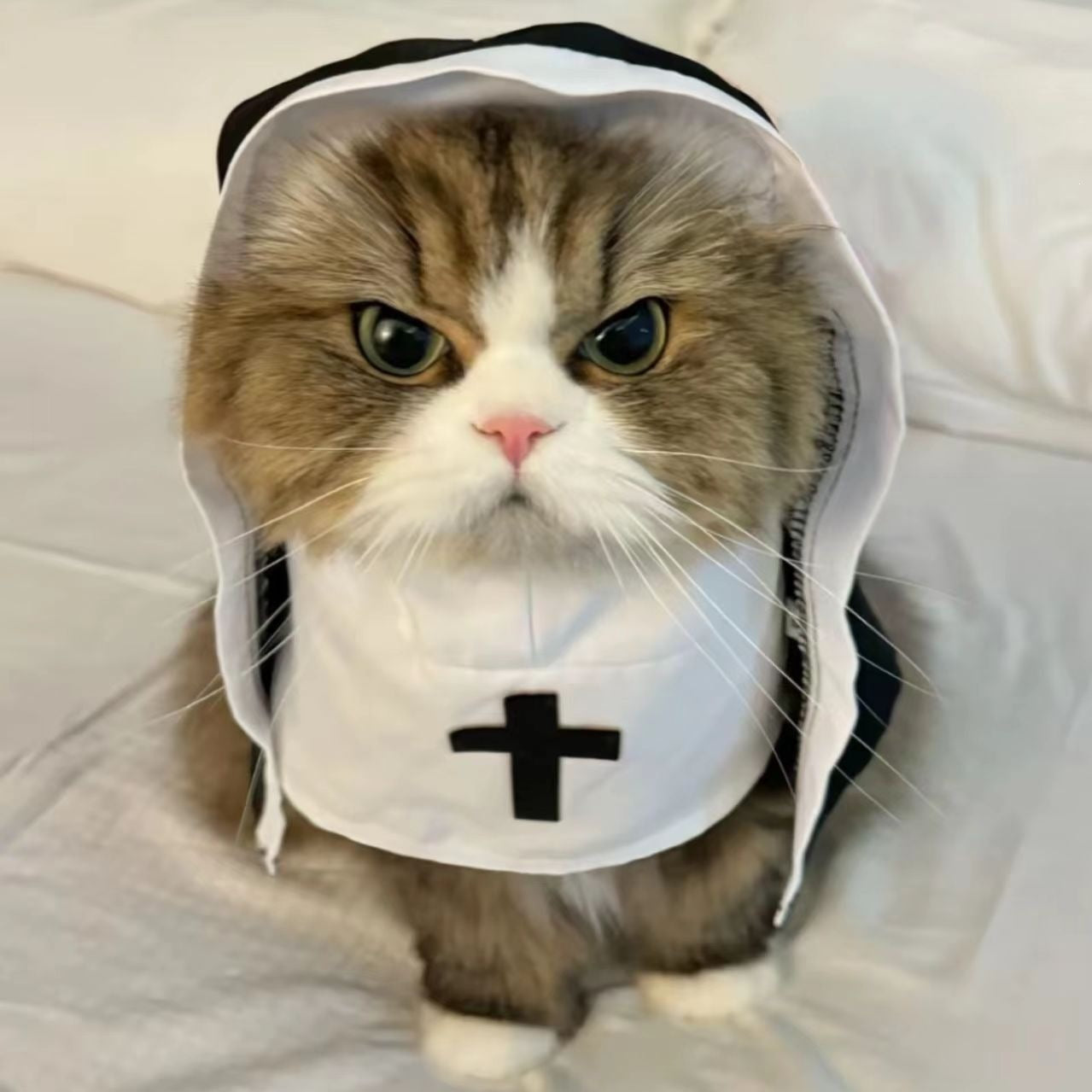 Gothic nun cloak Halloween costume for cats and dogs