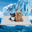 Pet Cooling and Heating Pad for All Seasons, Dogs and Cats