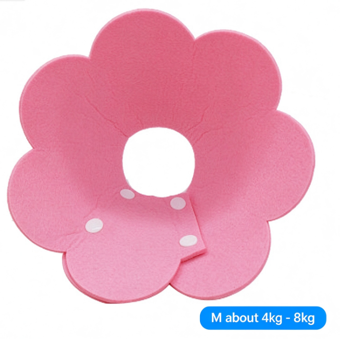 Pet Collar Cat Lightweight Headgear