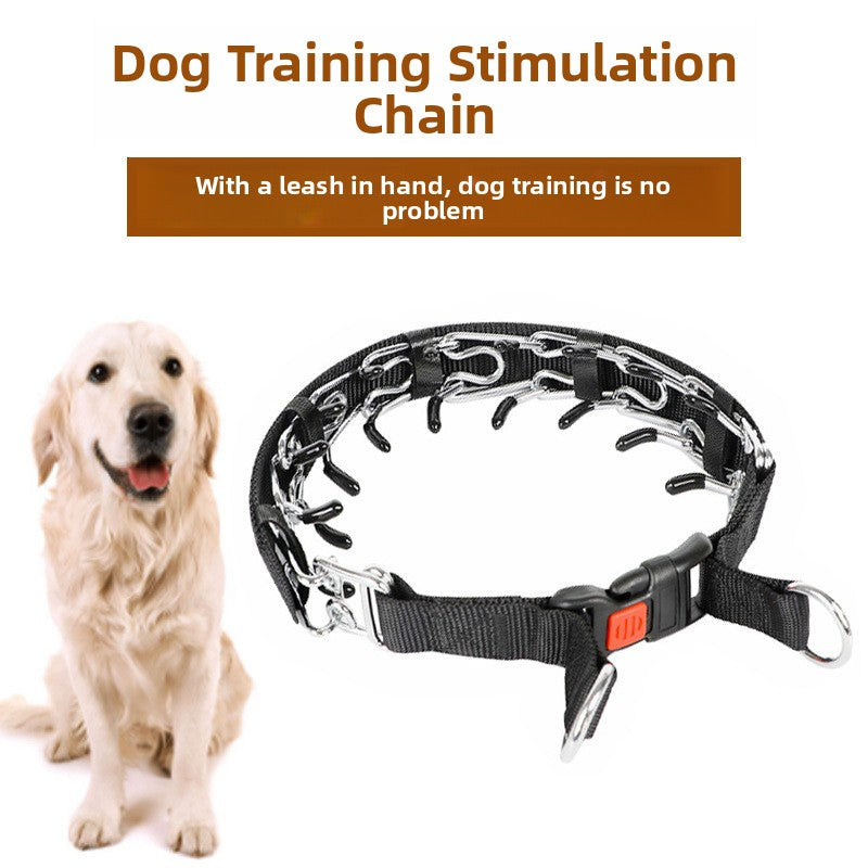 Adjustable Metal Dog Training Collar with Leash