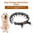 Adjustable Metal Dog Training Collar with Leash
