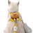Burger and toast pet harness with lead, available from Pet Royale UK