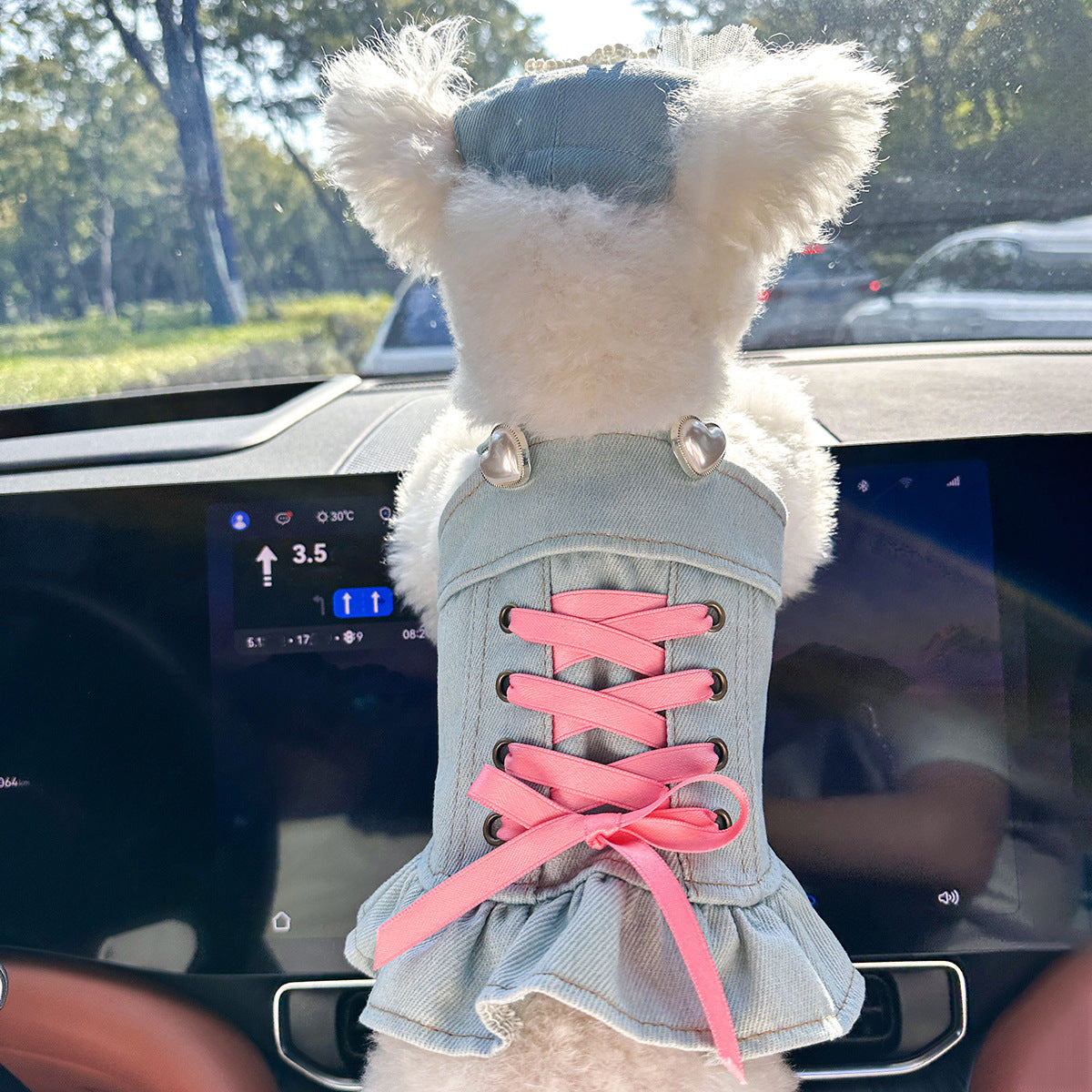 Cute denim skirt for small dogs and cats, available in 13 styles, image 1