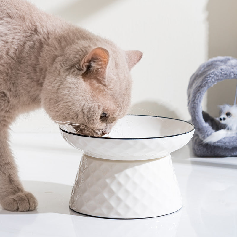 Raised Ceramic Cat Bowl, Elevated Feeding Dish