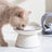 Raised Ceramic Cat Bowl, Elevated Feeding Dish