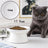 Ceramic Pet Bowl