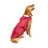 Hooded reflective nylon rain poncho for large dogs, product image 4