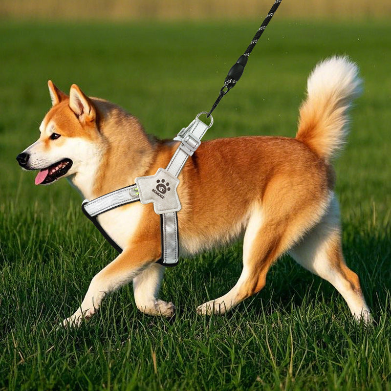 Escape-resistant reflective dog harness, ideal for everyday use