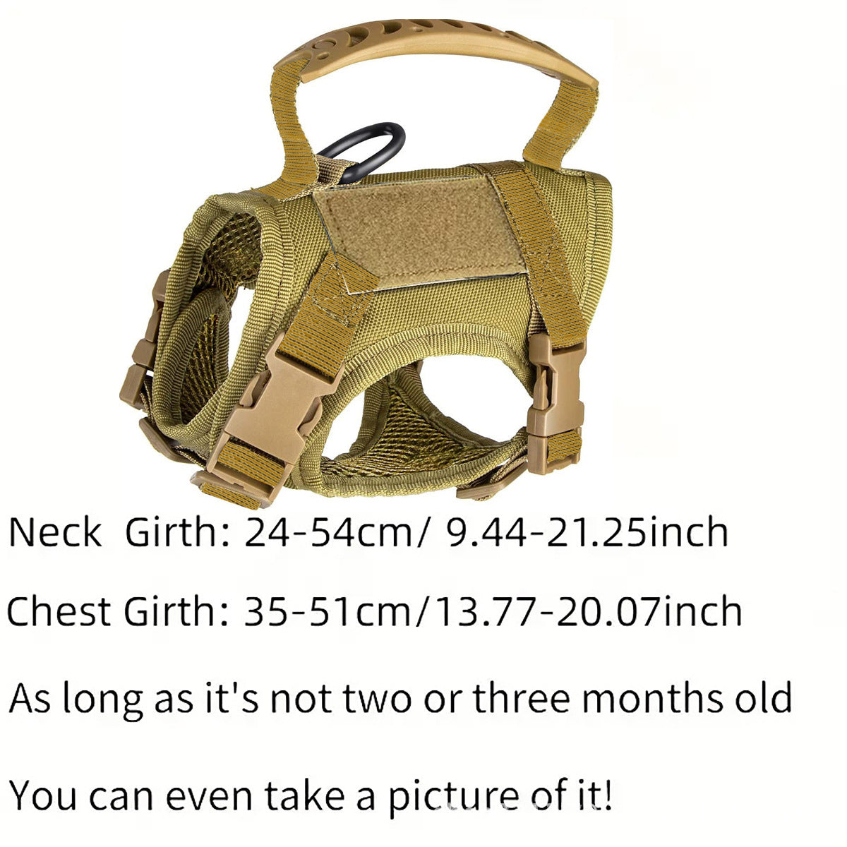 Tactical style vest harness in camouflage on a small dog