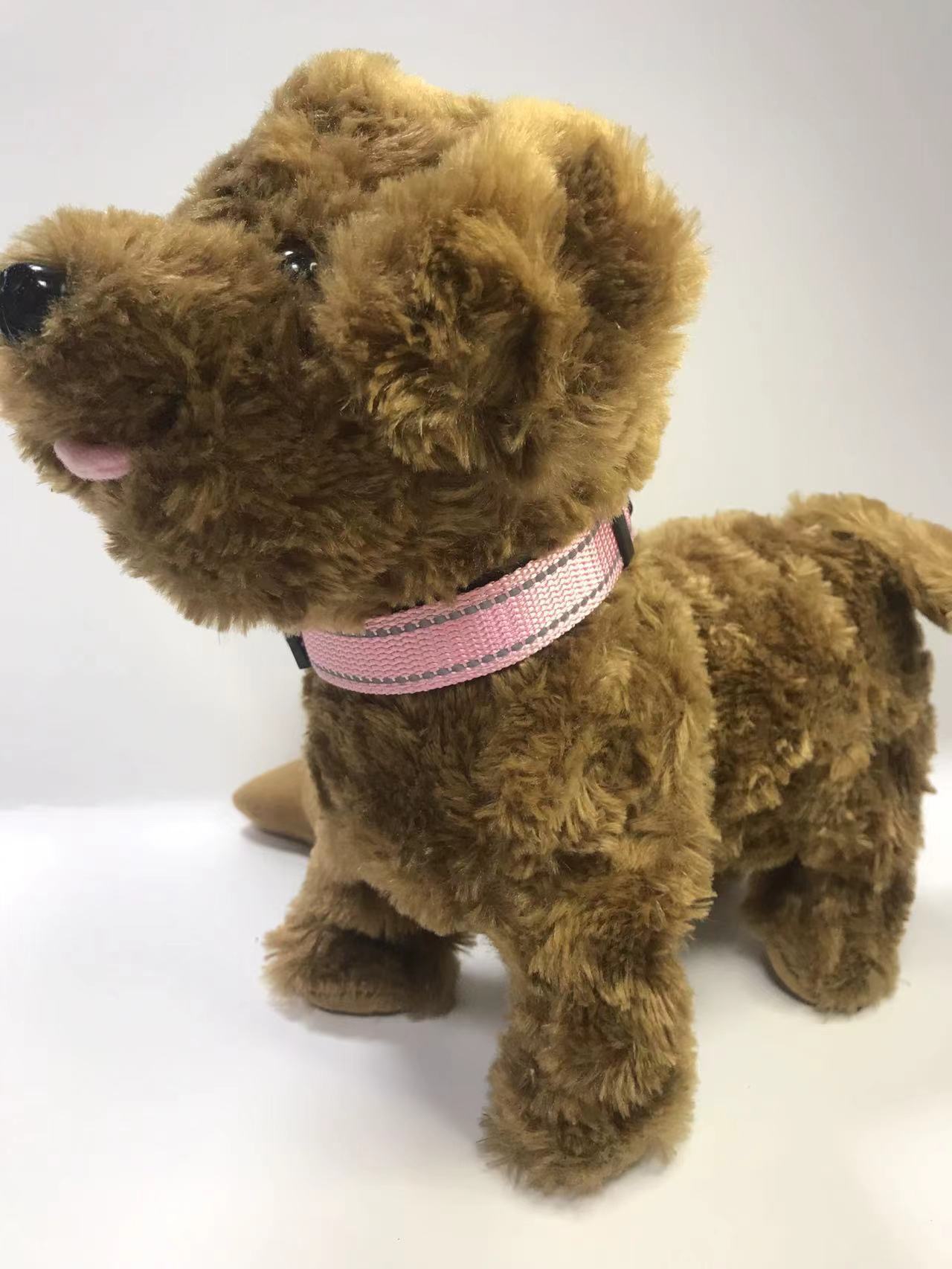 Adjustable buckle pet collar in bright colours for dogs, view 57