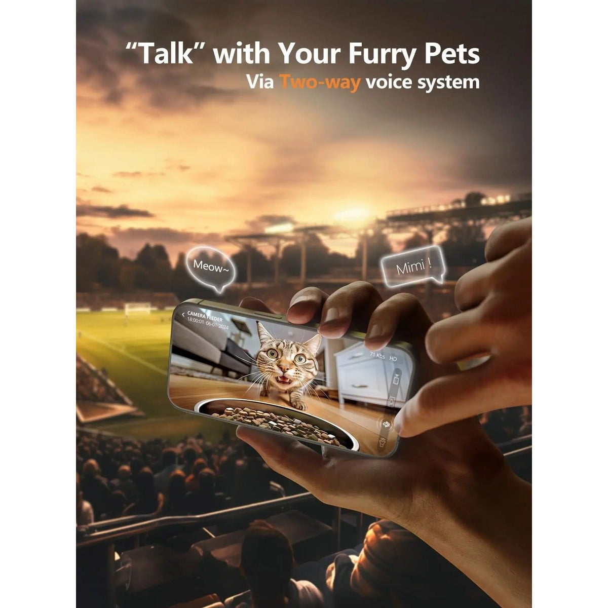Automatic Cat Feeder with WiFi App Control, Timed Portions and Optional Camera