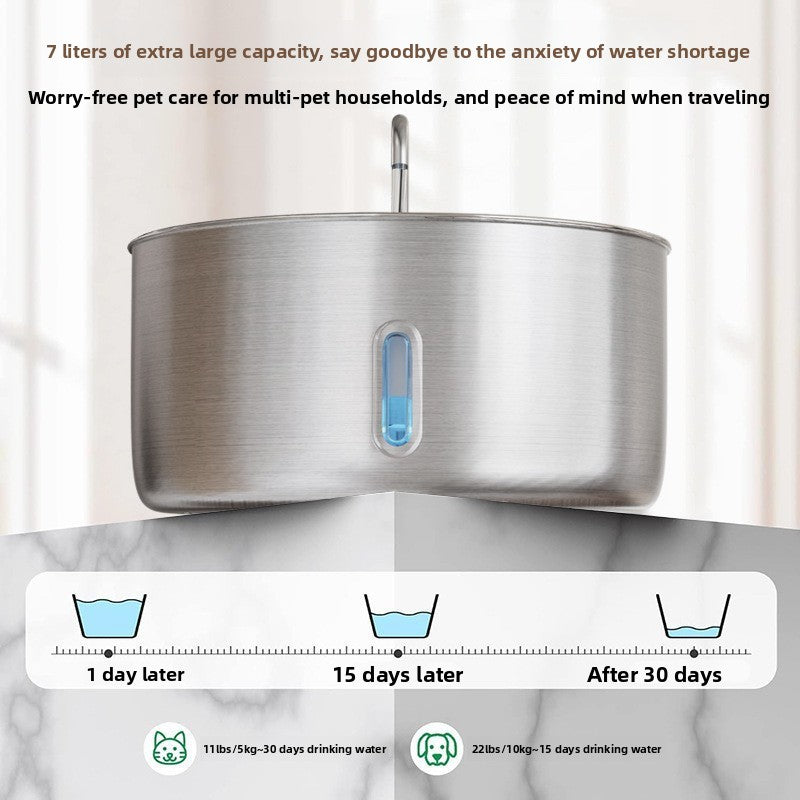 Automatic filter water dispenser