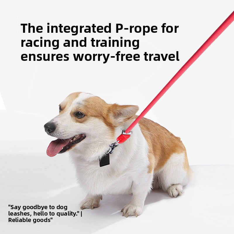 Adjustable crossbody rope dog lead, 2 rope thicknesses available