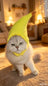 Cute animal headgear hat for cats and small dogs, showing size and shape