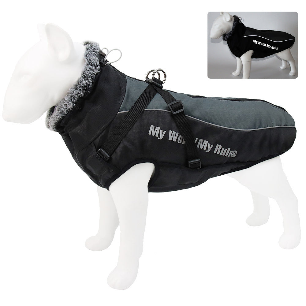 Reflective padded dog coats in red, blue and iridescent finishes