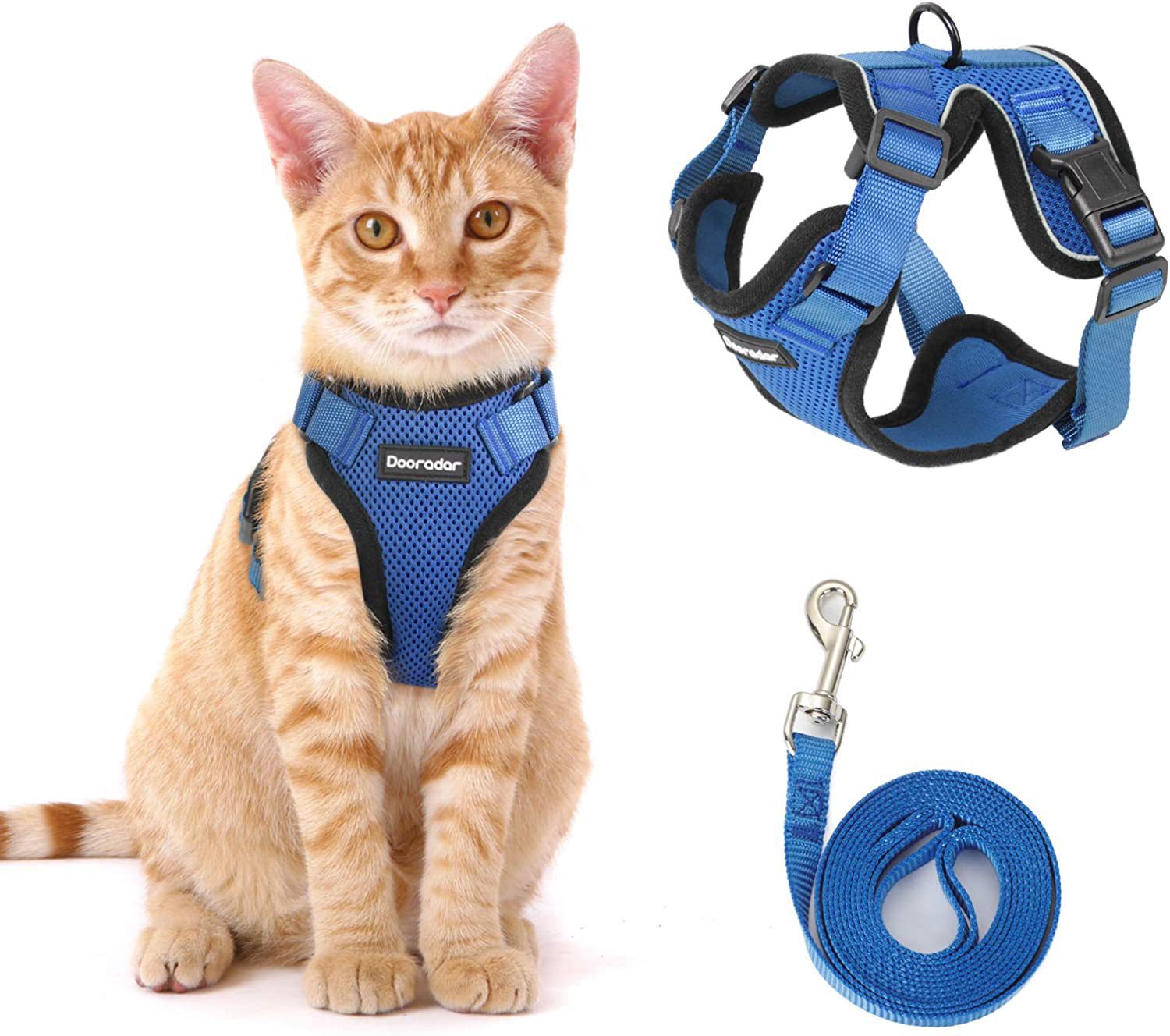Cat wearing a soft polyester vest harness in the garden