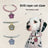Cat paw rhinestone chain collar in gold and white for cats