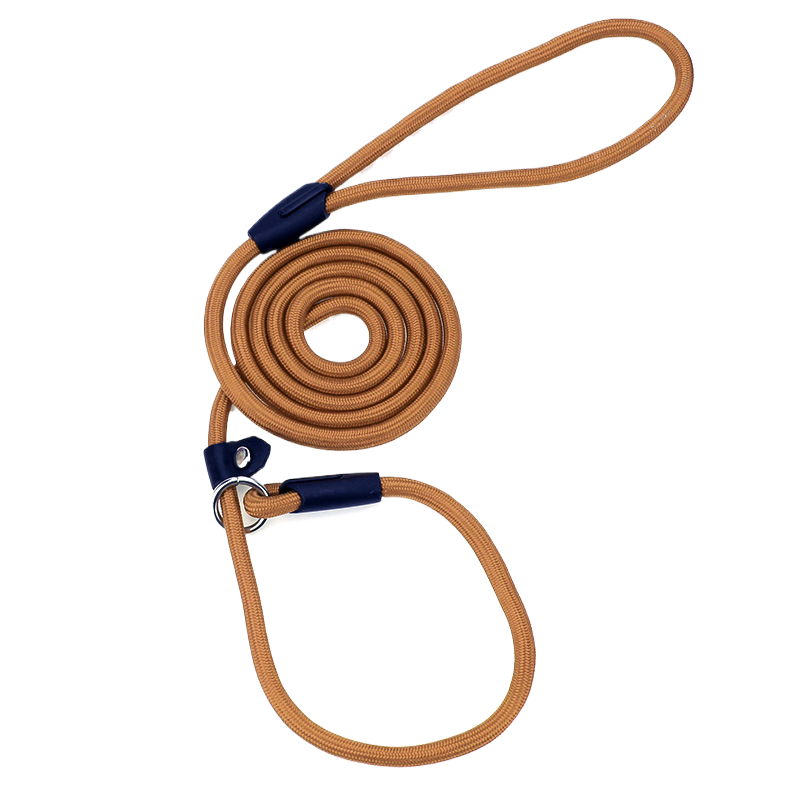 Nylon rope slip lead for dogs, ideal for everyday use