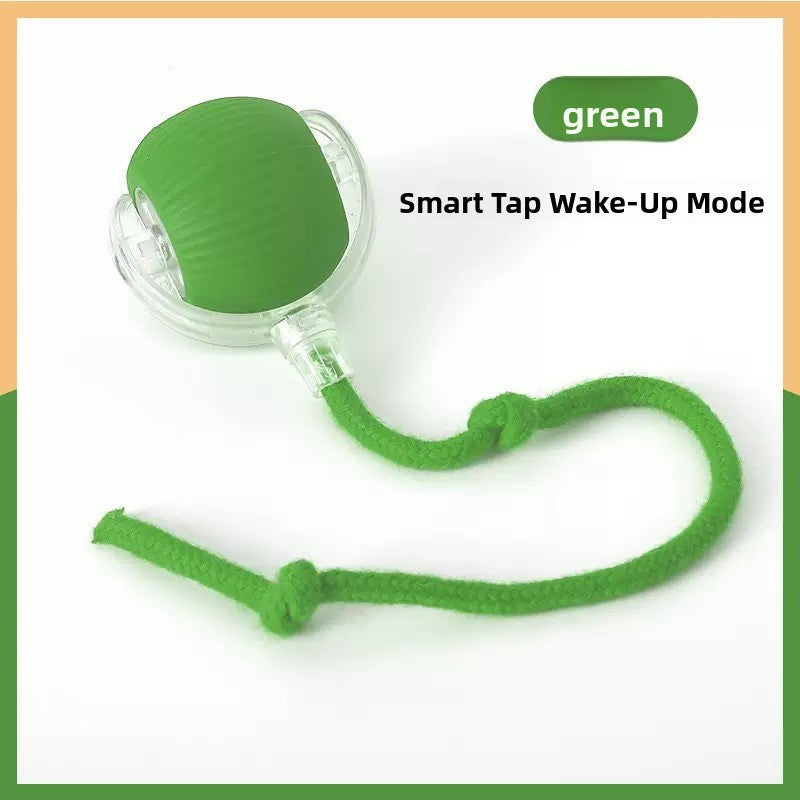 Interactive electric cat toy with motion sensor for indoor cats, view 10