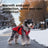 Padded dog coat with faux fur collar, available in 4 colours, image 2