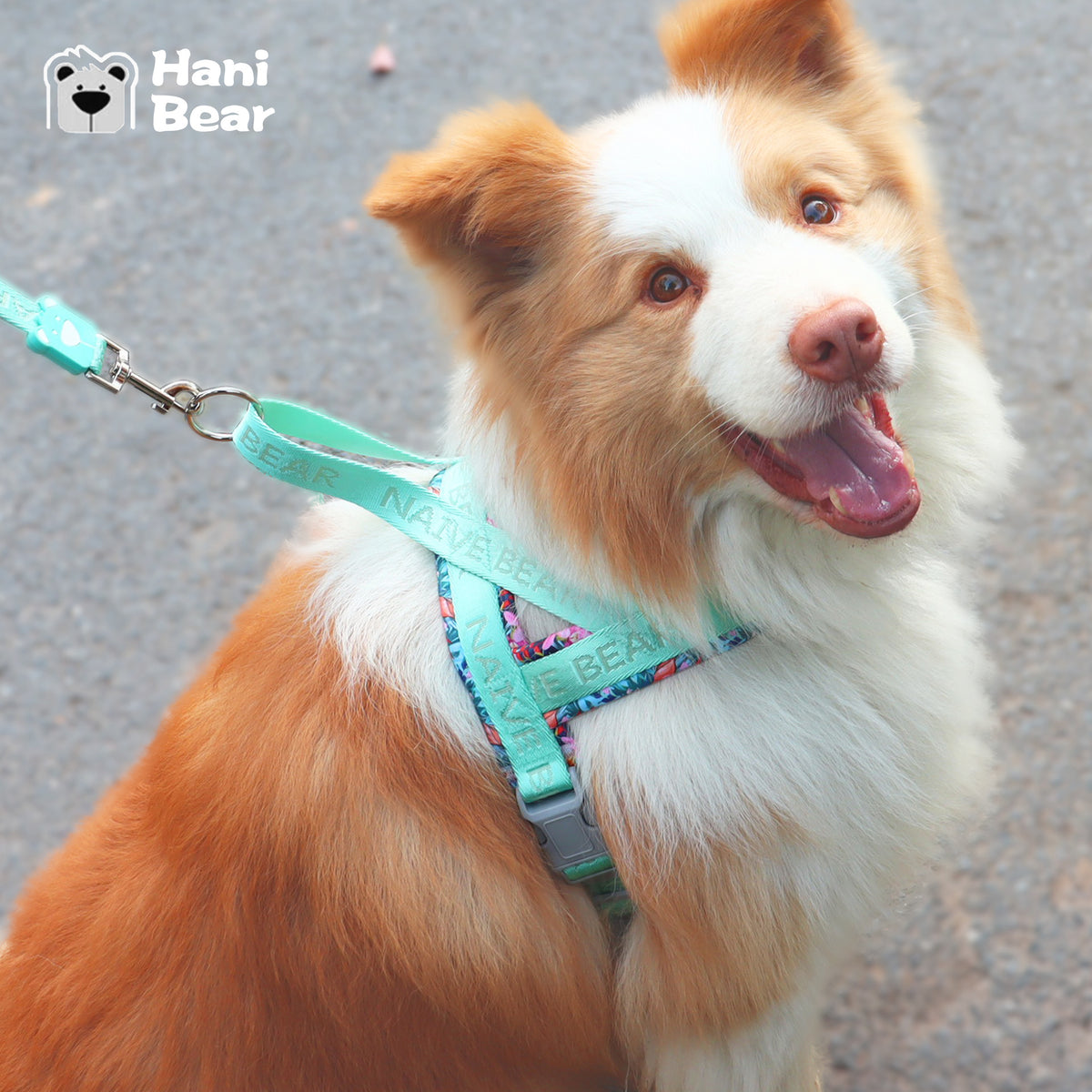 Saddle dog harnesses in pink orange, khaki and lavender prints