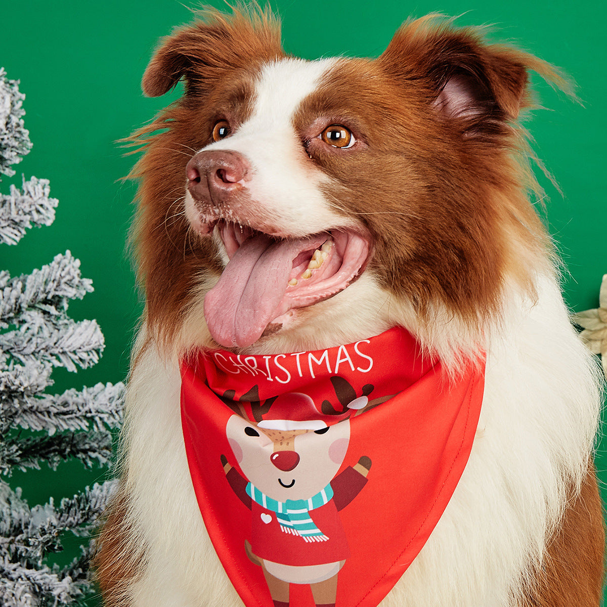 Cartoon print pet bandana for dogs and cats in Design 26, close-up detail