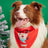 Cartoon print pet bandana for dogs and cats in Design 26, close-up detail