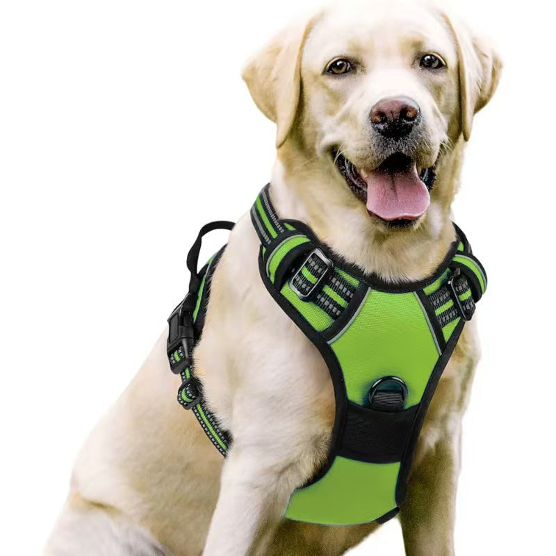 Nylon vest dog harness with matching lead in peacock blue