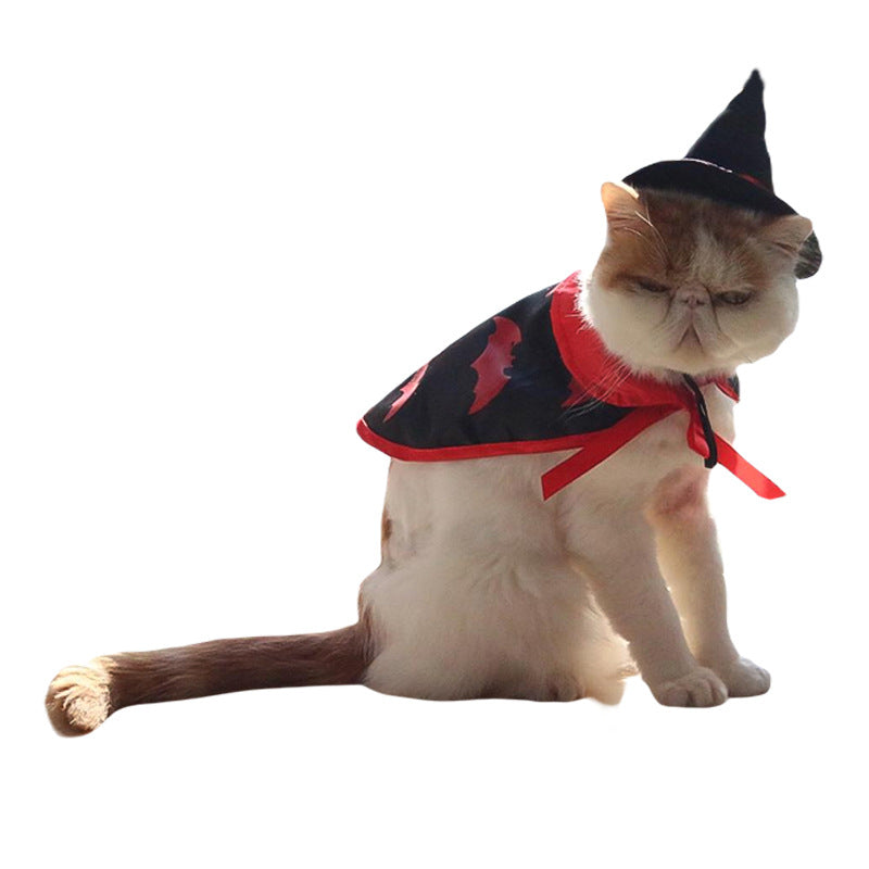 Halloween cape and hat set for cats and small dogs, image 11
