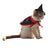 Halloween cape and hat set for cats and small dogs, image 11
