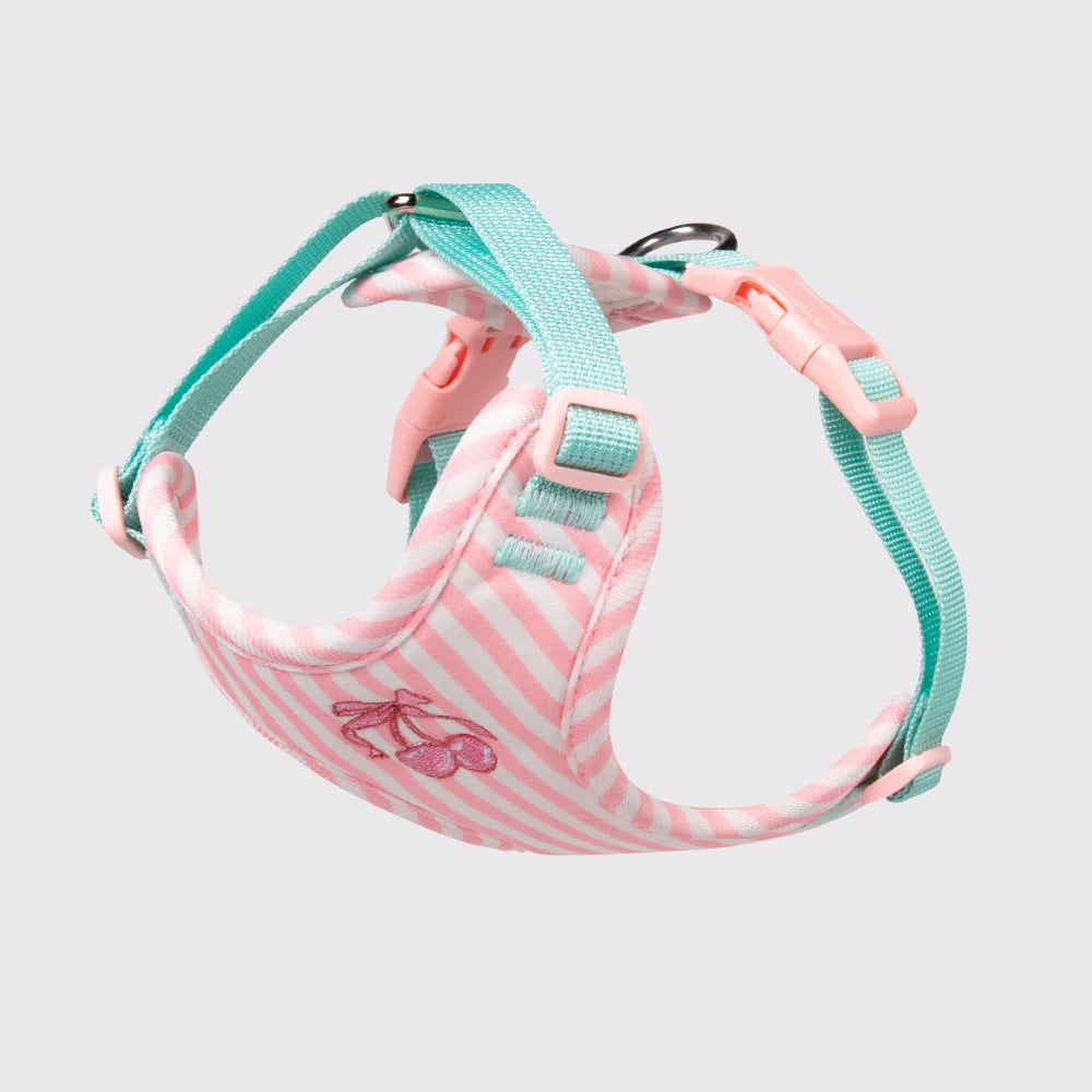 Sweet vest harness for small dogs, ideal for everyday use
