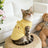 Lightweight summer cat vest with animal print, available in 3 colours, image 6
