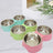 Pet Food and Water Bowl