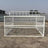 White metal pigeon loft landing cage with one way door, view 2