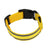 LED reflective dog collar glowing green on a night walk