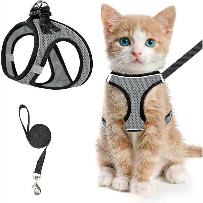 Mesh harnesses for cats and small dogs in eleven colours