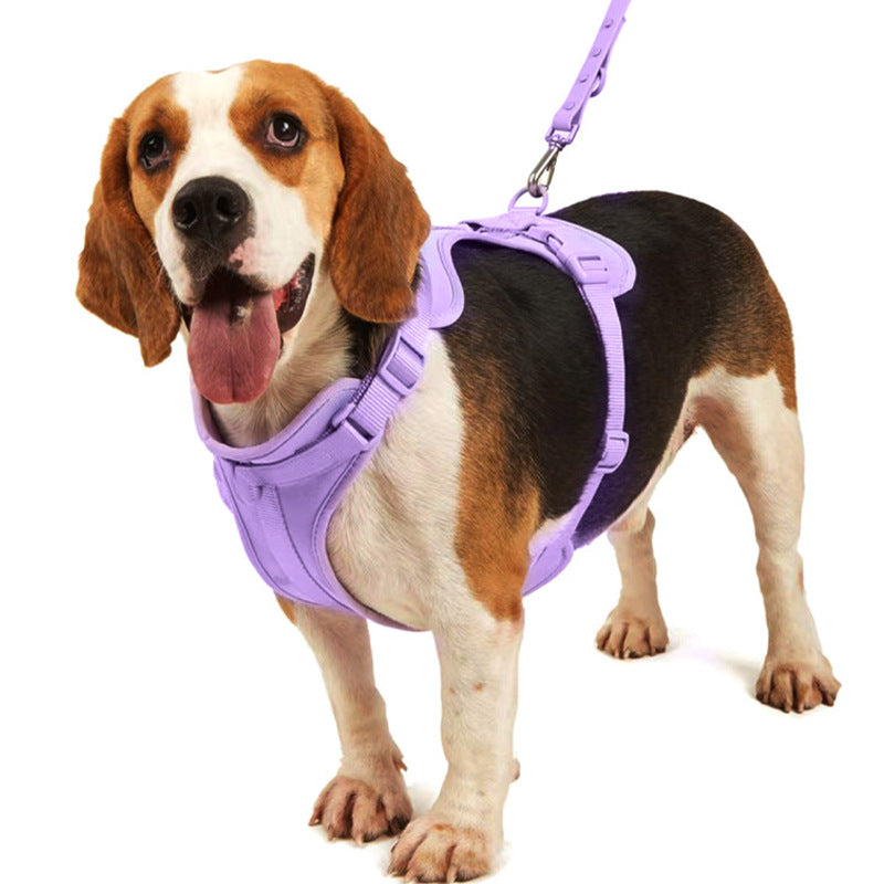 Waterproof PVC harness, lead and collar set in 10 colour options