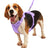 Waterproof PVC harness, lead and collar set in 10 colour options