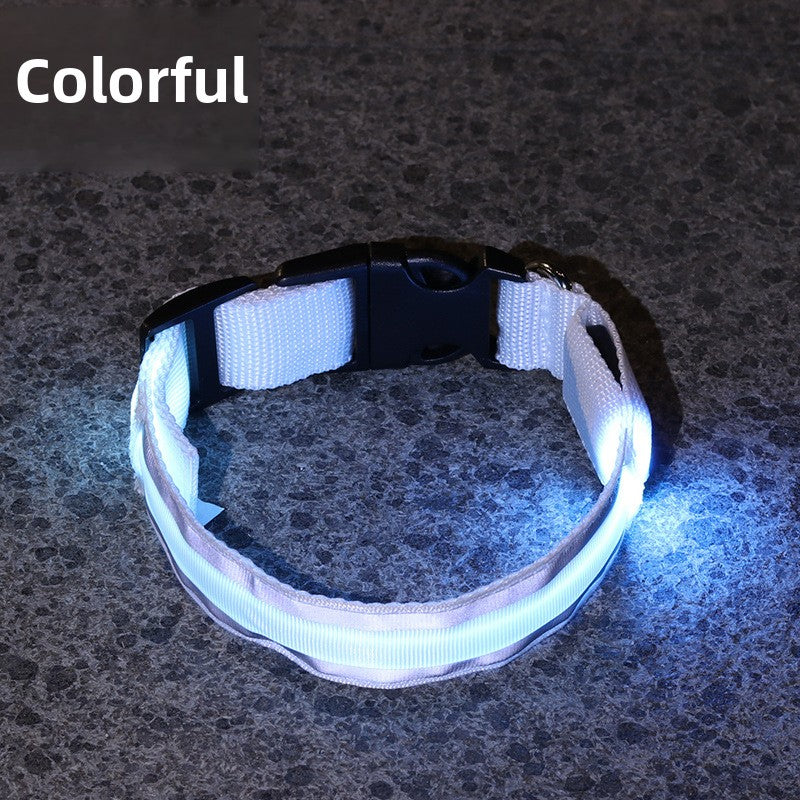 Light up dog collars in eight colours with reflective strip