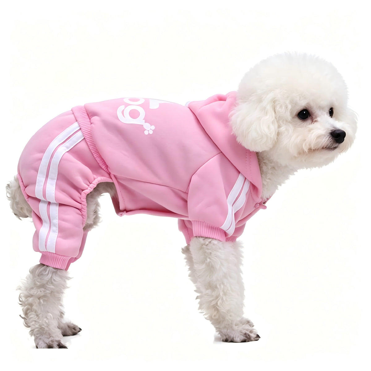 Small dog wearing a red four leg button up hoodie