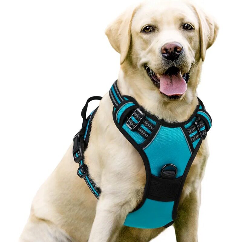 No-pull soft padded dog harness, 4 sizes available