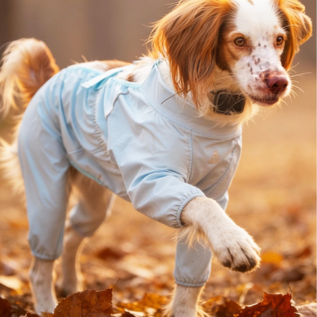 Four leg dust proof dog outfit, available in 12 colours, image 4